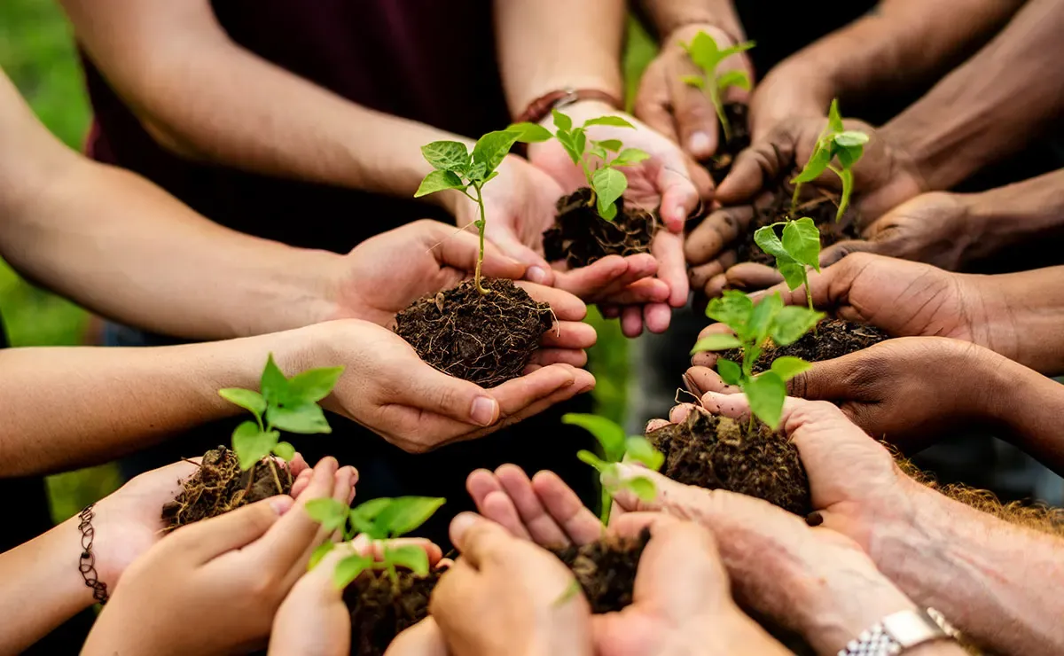 Role of Business Ethics, Social Responsibility, and Environmental Sustainability