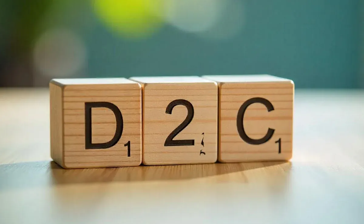 What is the direct-to-consumer (D2C) model?
