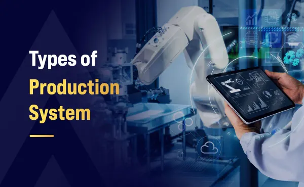 What are the Different Types of Production System 