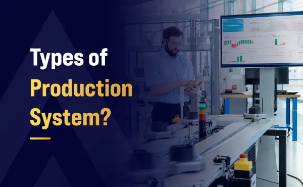 What are the Types of Production System?